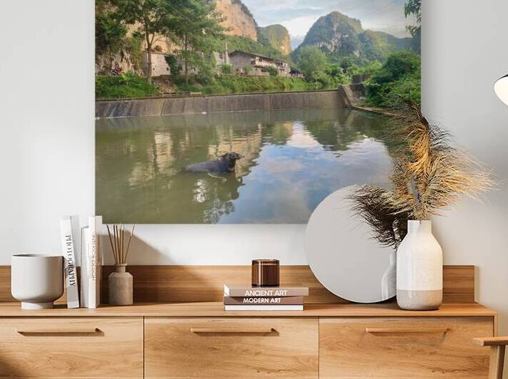 Water Buffalo Bathing by Jimmy Roy Photos