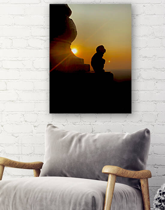 Enlightened Monkey at Sunset by Jimmy Roy Photos