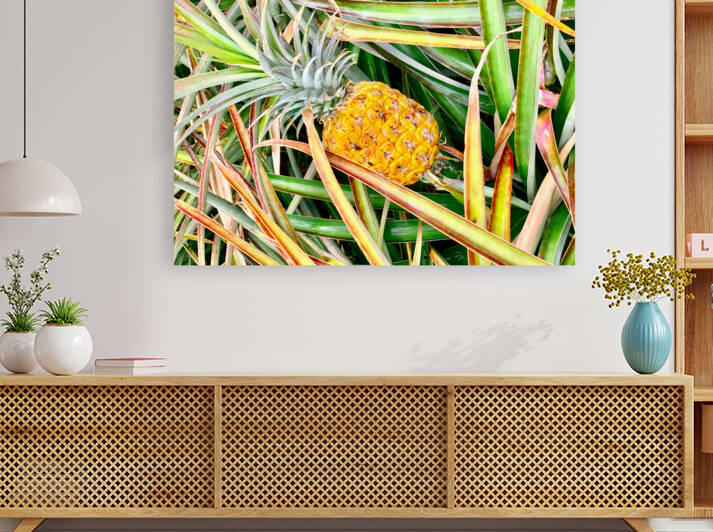 Pineapple Growing by Jimmy Roy Photos