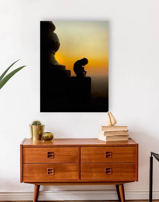 Meditative Monkey at Sunset by Jimmy Roy Photos