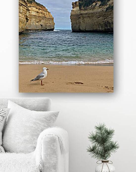 Bird on the Beach 2 by Jimmy Roy Photos