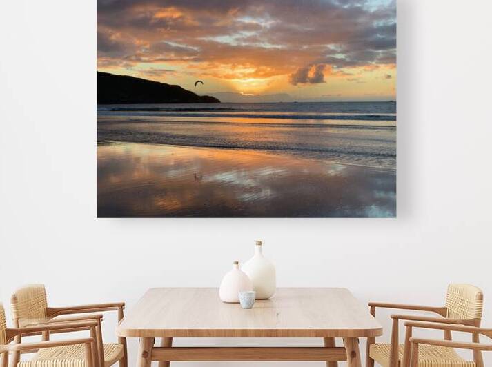 Amazing Sunset with Bird by Jimmy Roy Photos