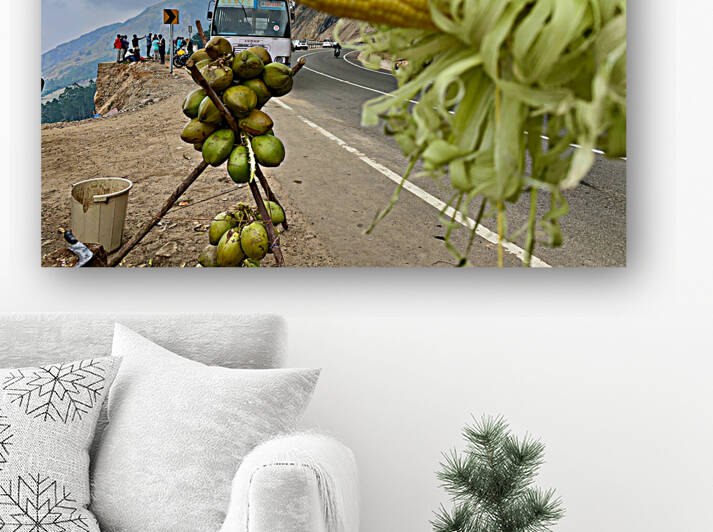 Corn  Coconuts by Jimmy Roy Photos