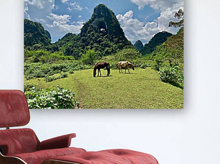 Horses by Angle Eye Mountain by Jimmy Roy Photos