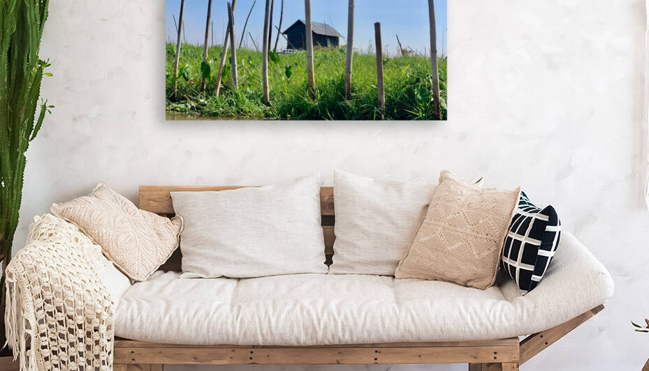 House behind the Bamboos by Jimmy Roy Photos