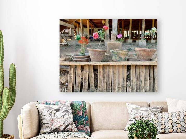 Flower Pots by Jimmy Roy Photos