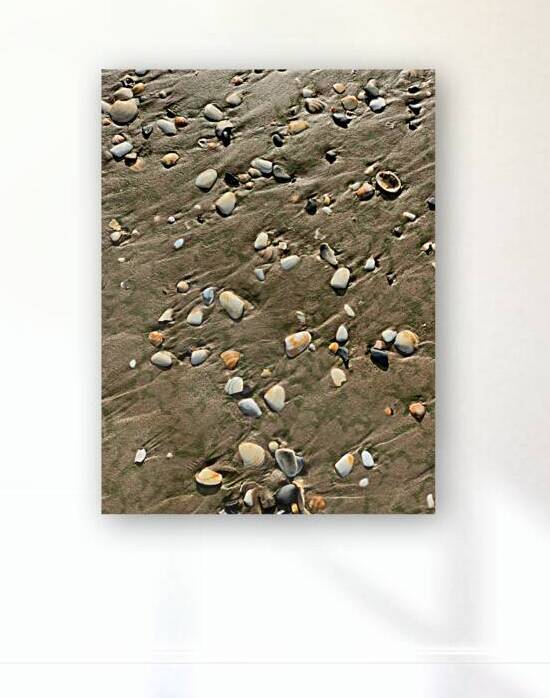 Seashells in the Sand by Jimmy Roy Photos