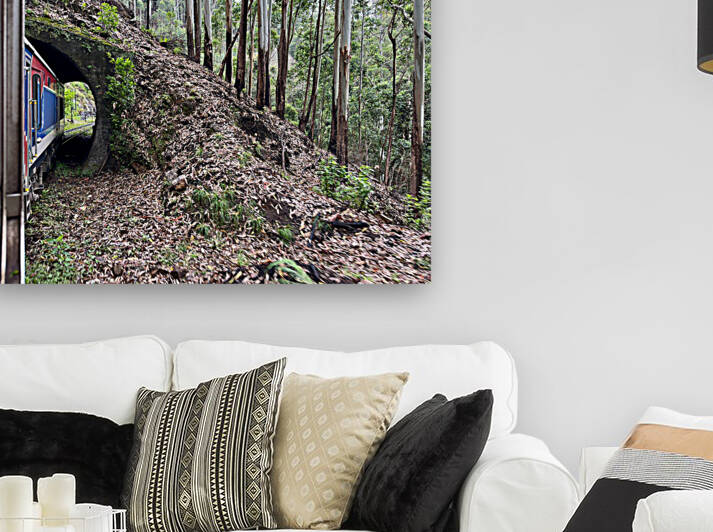 Train Through the Mini Tunnel by Jimmy Roy Photos