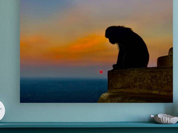 Thinking Monkey at Sunset by Jimmy Roy Photos