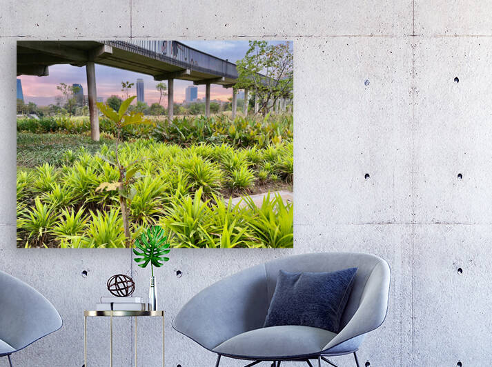 City Under the Bridge by Jimmy Roy Photos