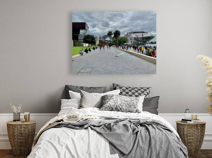 Fly for the Cruise by Jimmy Roy Photos