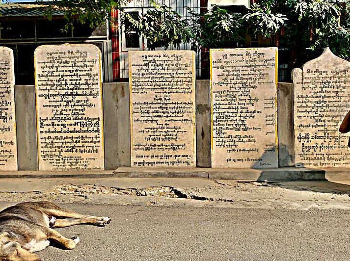 The Man and the Dog by Jimmy Roy Photos