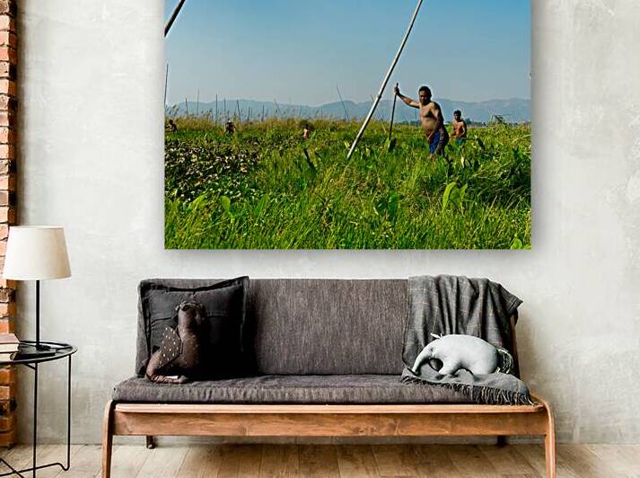 Working in the Field by Jimmy Roy Photos