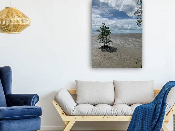 The Tree by Jimmy Roy Photos