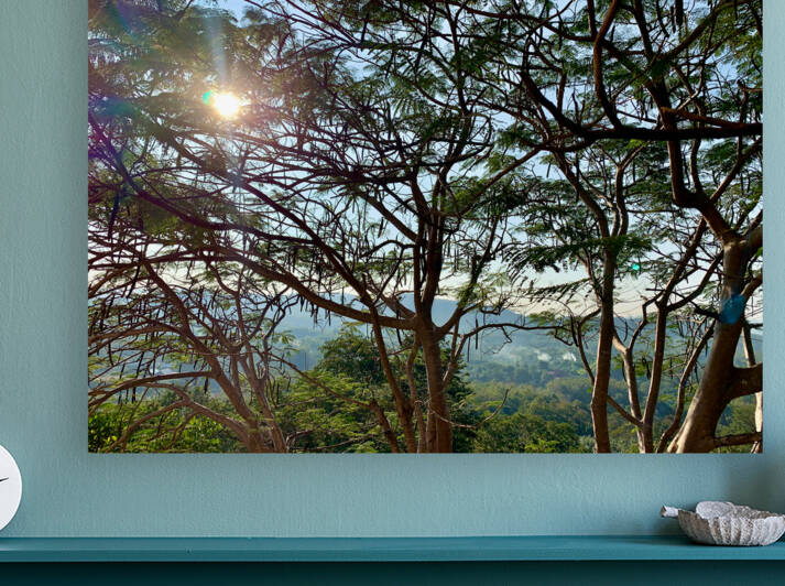 Sun Through the Tree by Jimmy Roy Photos