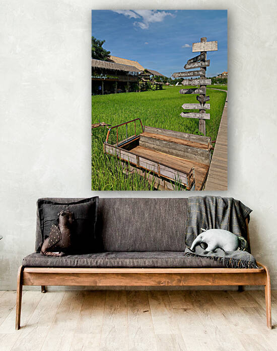 Follow the Arrow by Jimmy Roy Photos