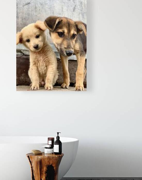 Give Me Some Room Puppy by Jimmy Roy Photos