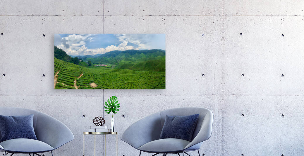 Tea Plantations 8 by Jimmy Roy Photos