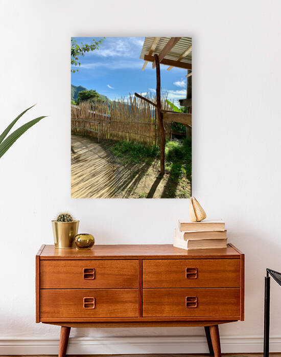 Sun Through the Bamboo Fence by Jimmy Roy Photos