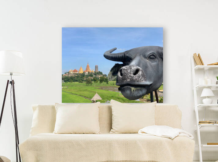 Water Buffalo Head in front of Temple by Jimmy Roy Photos