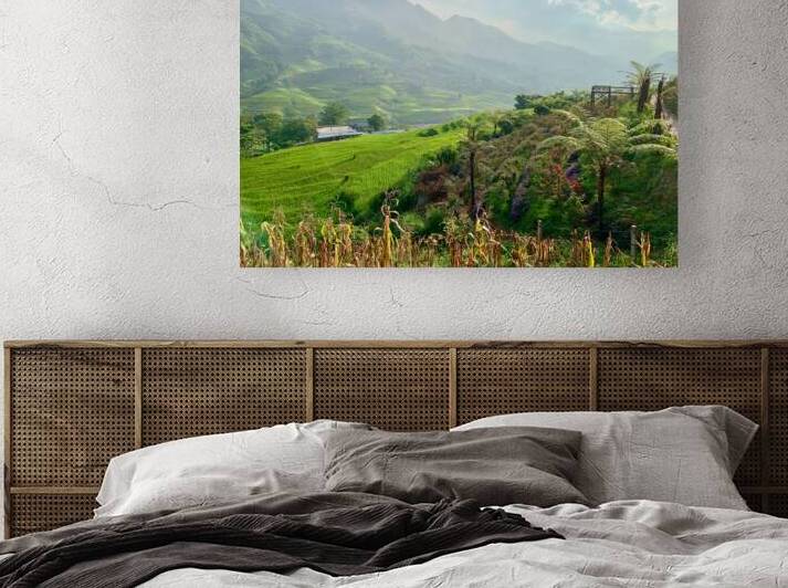 Dreamy Sunset on the Rice Fields by Jimmy Roy Photos