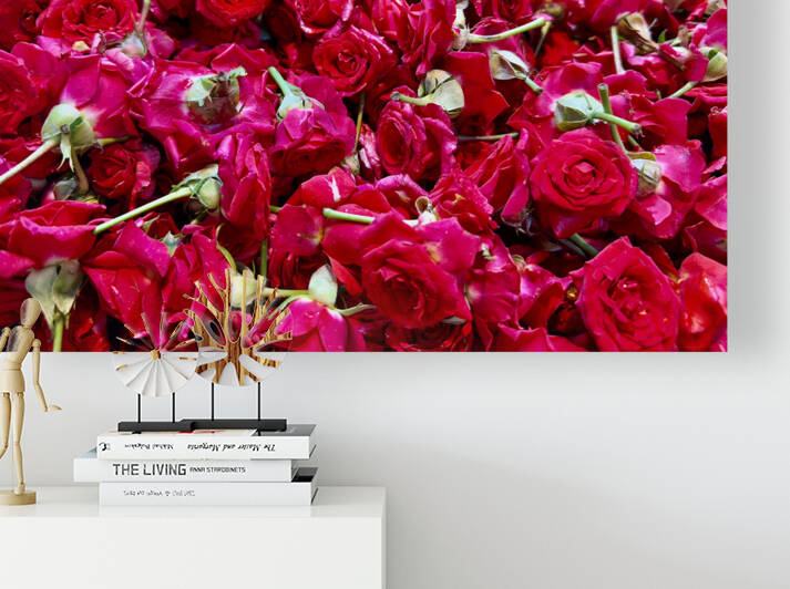 Many Roses by Jimmy Roy Photos