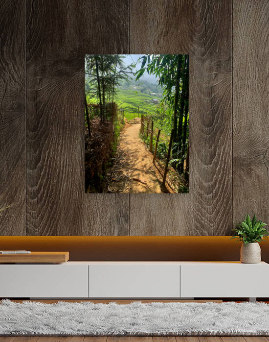 Enter the Rice Fields by Jimmy Roy Photos