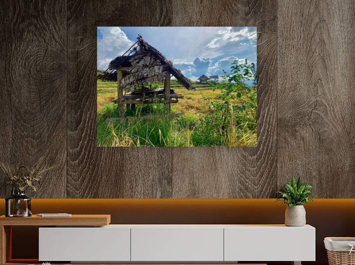 Shacks in the Rice Fields by Jimmy Roy Photos