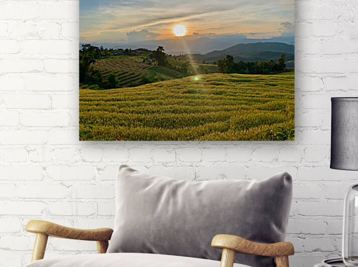 Sunset over the Rice Fields by Jimmy Roy Photos