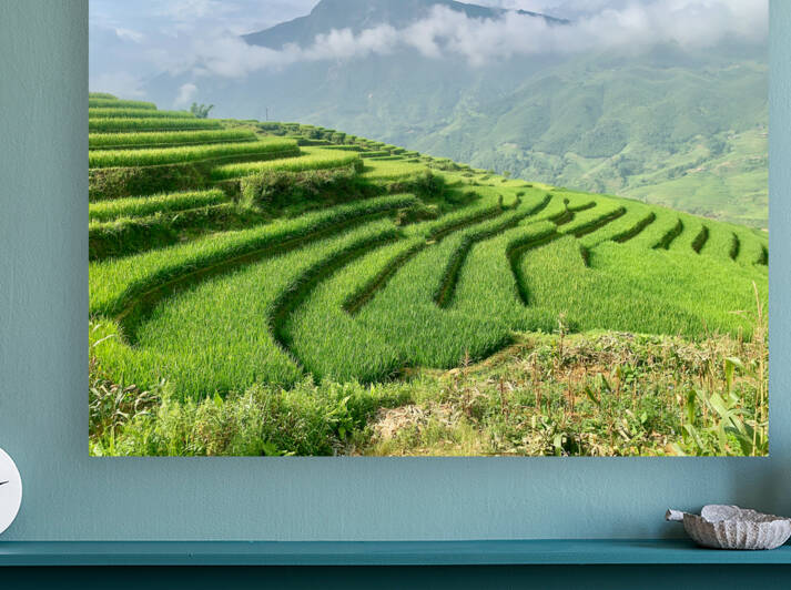 Rice Fields Going Down by Jimmy Roy Photos