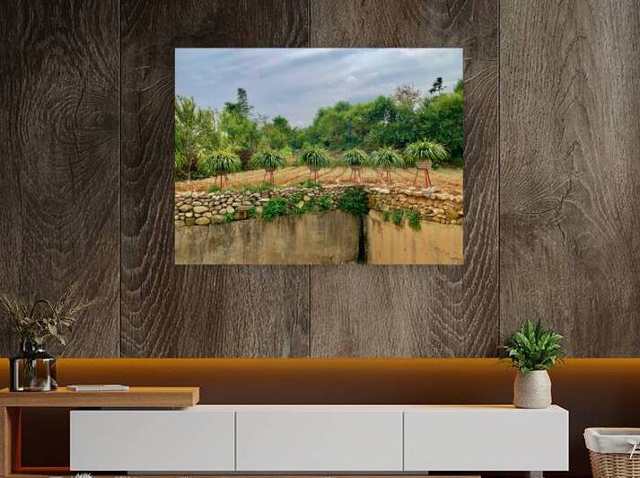 Plant Pots on a Stand by Jimmy Roy Photos