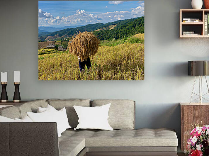 Behind the Rice by Jimmy Roy Photos