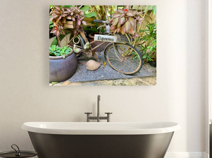 Espresso Bike by Jimmy Roy Photos