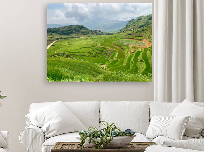 Rice Plateau by Jimmy Roy Photos