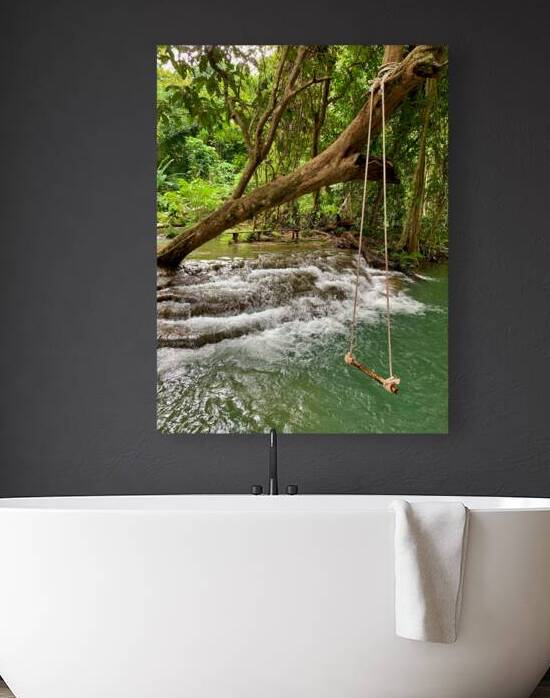 Swing in the Jungle by Jimmy Roy Photos