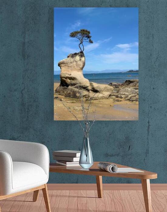 Tree Over The Rock by Jimmy Roy Photos