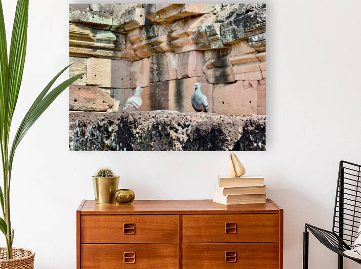 Birds in Historical Site by Jimmy Roy Photos