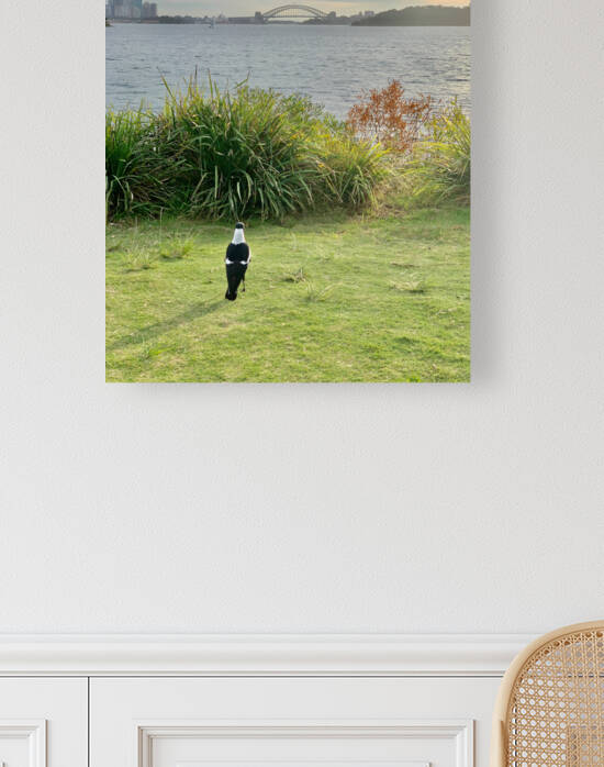 Bird Looking at the Bridge by Jimmy Roy Photos