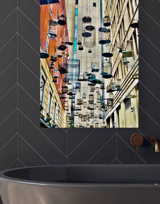 All the Cages by Jimmy Roy Photos