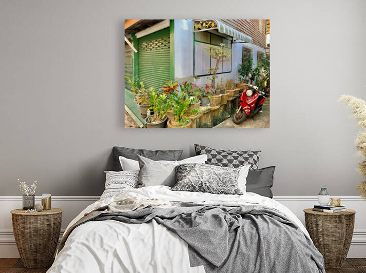 Plants on the Corner by Jimmy Roy Photos