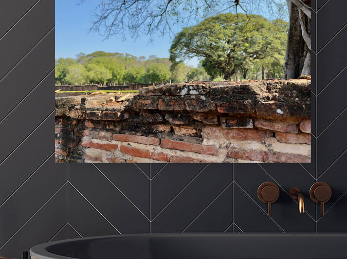 Nature Behind the Wall by Jimmy Roy Photos