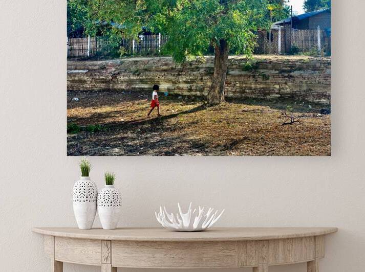 The Little Girl and the Tree by Jimmy Roy Photos