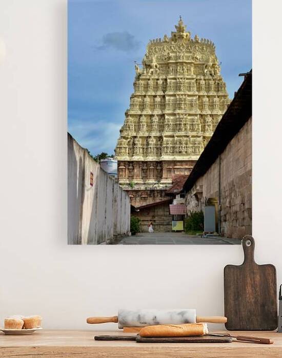 Side of Sree Padmanabhaswamy Temple by Jimmy Roy Photos