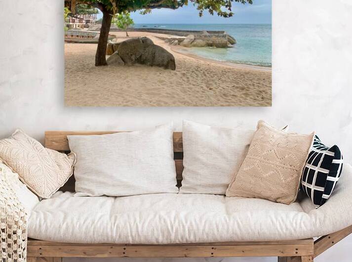 Tree on the Beach by Jimmy Roy Photos