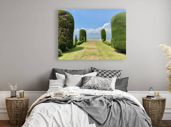 View from Pari Mahal Srinagar 2 by Jimmy Roy Photos