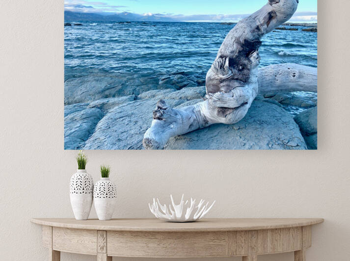 Bird Shaped Wood in Front of the Ocean by Jimmy Roy Photos