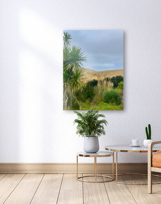 Sand Dunes Ahead by Jimmy Roy Photos