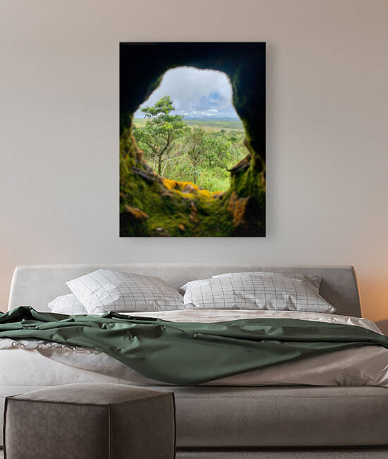 Nature Through the Hole by Jimmy Roy Photos