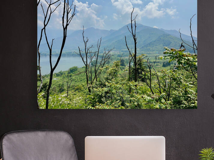 Mountains Behind the Branches by Jimmy Roy Photos