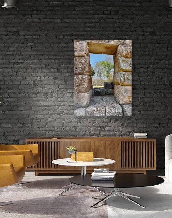 There is a Tree Outside by Jimmy Roy Photos